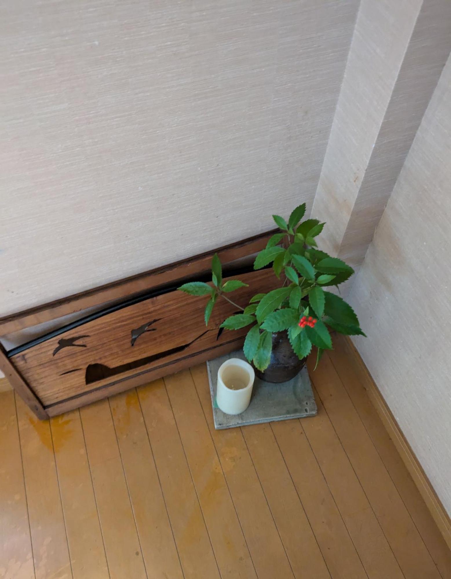Hotel Tsubakiso Nara Exteriér fotografie